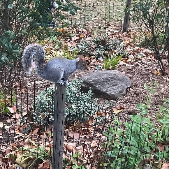 PLEASE, LIKE, FOLLOW & SHARE, SHARE, SHARE! THANK YOU!❤️❤️ - Picture 5 of 16